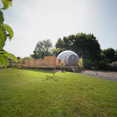 Bulles Odette & Ginette Et Tiny House Suzette "Au Guet Marais" Etape Insolite Paliseul Екстер'єр фото