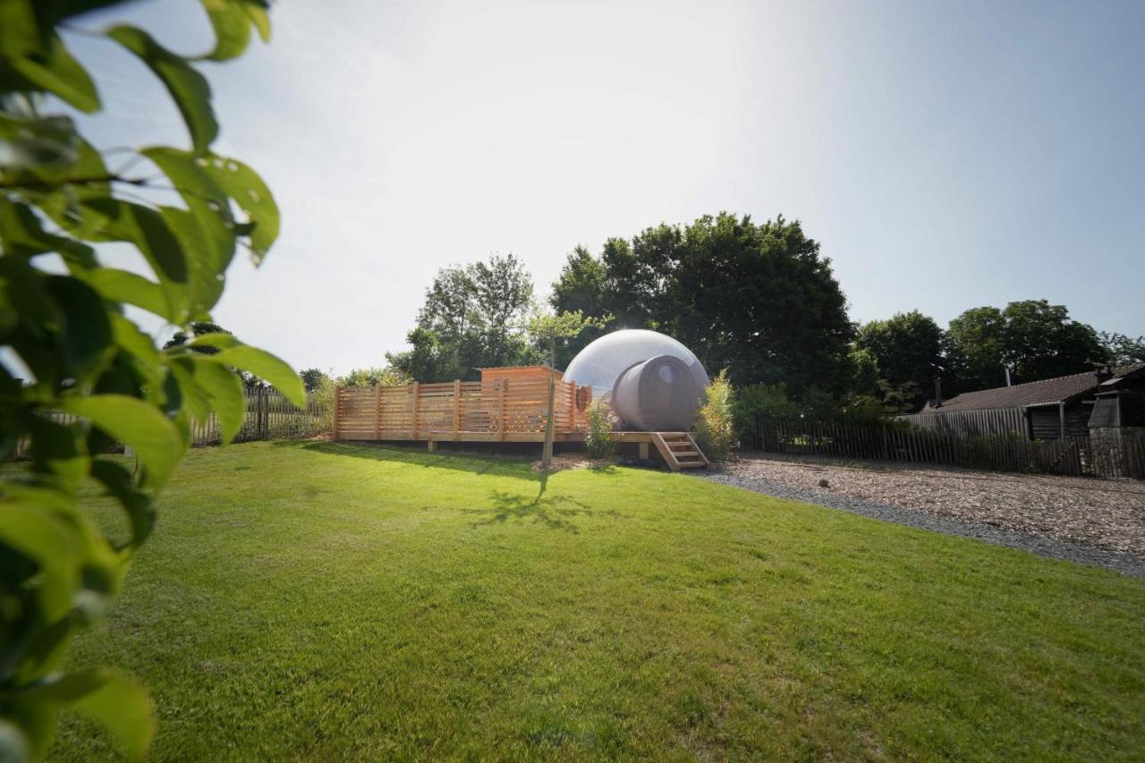 Bulles Odette & Ginette Et Tiny House Suzette "Au Guet Marais" Etape Insolite Paliseul Екстер'єр фото