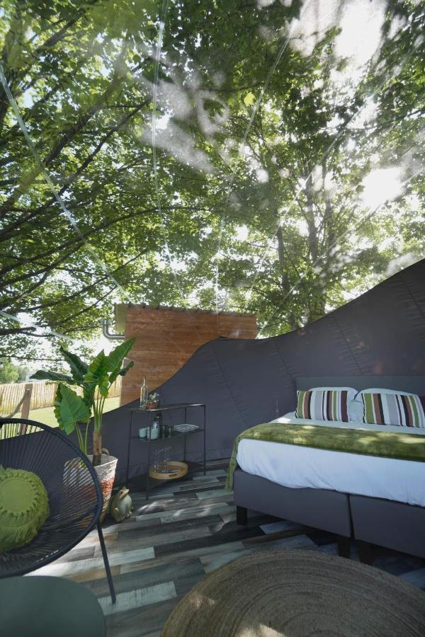 Bulles Odette & Ginette Et Tiny House Suzette "Au Guet Marais" Etape Insolite Paliseul Екстер'єр фото