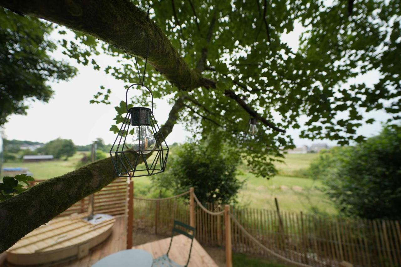 Bulles Odette & Ginette Et Tiny House Suzette "Au Guet Marais" Etape Insolite Paliseul Екстер'єр фото