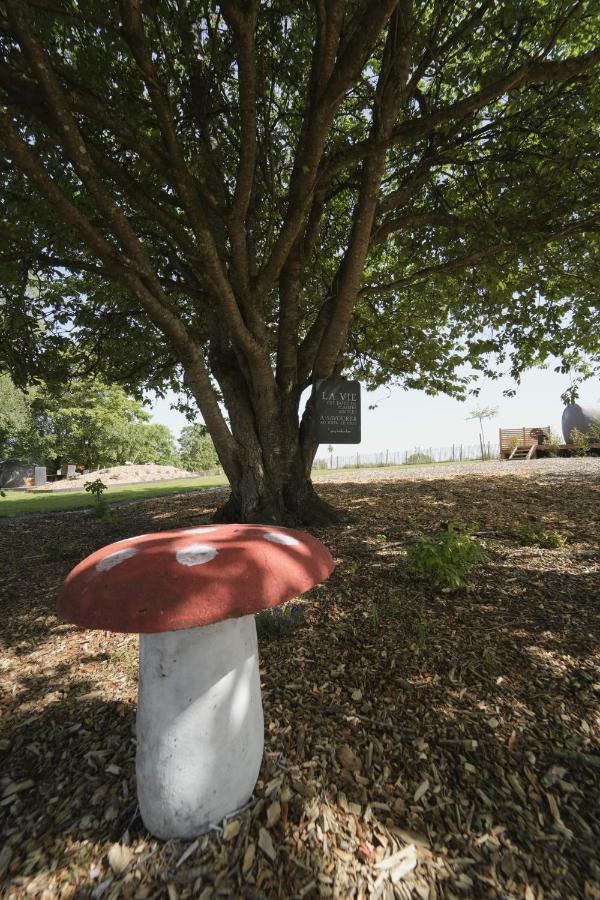 Bulles Odette & Ginette Et Tiny House Suzette "Au Guet Marais" Etape Insolite Paliseul Екстер'єр фото