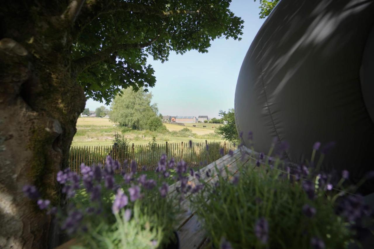 Bulles Odette & Ginette Et Tiny House Suzette "Au Guet Marais" Etape Insolite Paliseul Екстер'єр фото