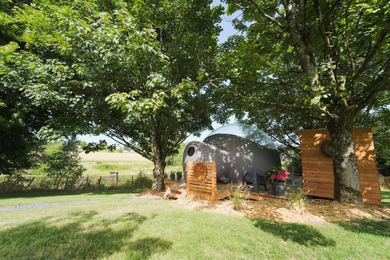 Bulles Odette & Ginette Et Tiny House Suzette "Au Guet Marais" Etape Insolite Paliseul Екстер'єр фото